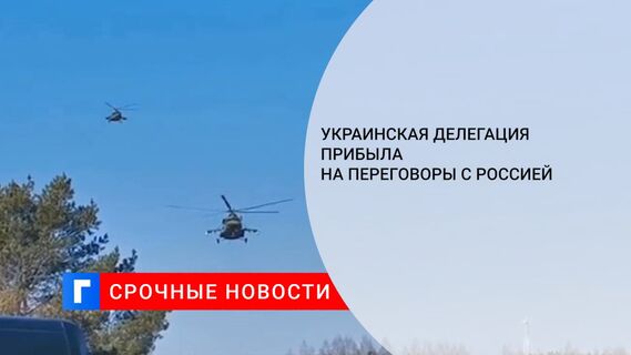 Украинская делегация прибыла на переговоры с Россией