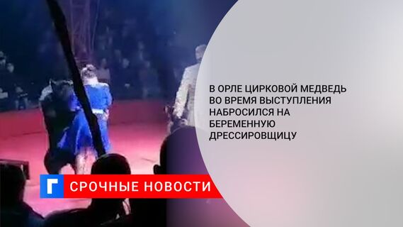 В Орле цирковой медведь во время выступления набросился на беременную дрессировщицу