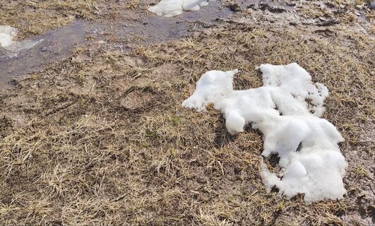 Как только начал сходить снег, от клещей - обязательно: пару капель на кожу - и паразиты отползут на 3 км, можно даже детям