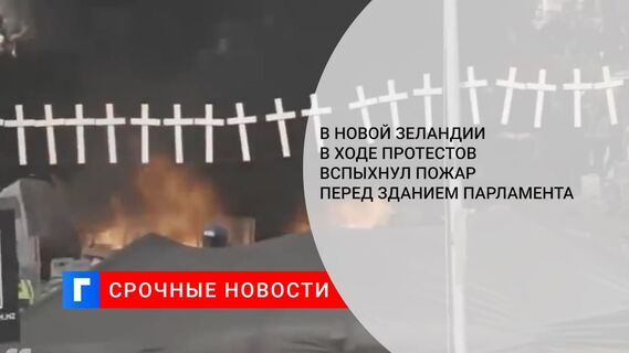 Перед зданием парламента Новой Зеландии в ходе протестов вспыхнули пожары