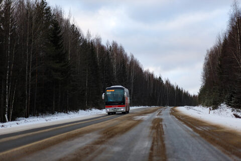Дневной график: ночные автобусы СПб–Таллин отменяются