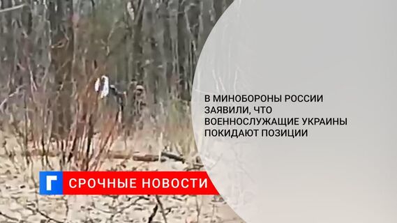 Минобороны РФ: военнослужащие Украины покидают позиции, бросая вооружение