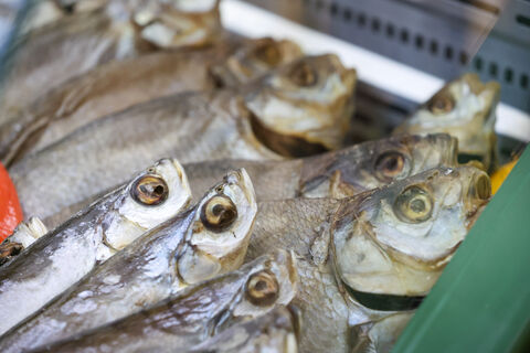 Селёдка‑приманка: лжепродавцы выудили у петербуржцев десятки тысяч рублей