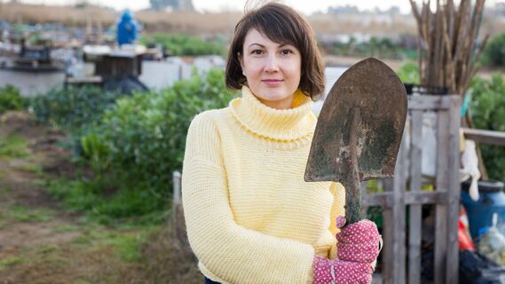 Опытные дачники знают, как нужно вносить навоз в землю весной: собирают двойной урожай