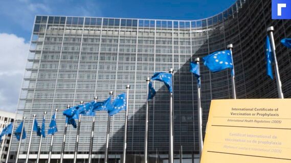 Чижов разъяснил Евросоюзу принятые Россией ответные меры на санкции