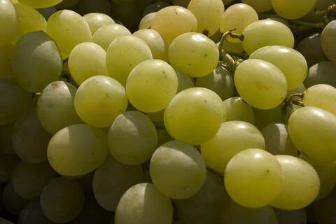 Закуска из винограда