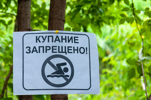 купание в августе