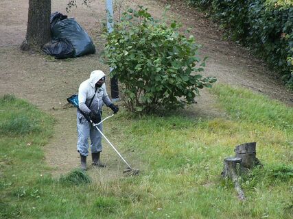 газонокосилка, шум