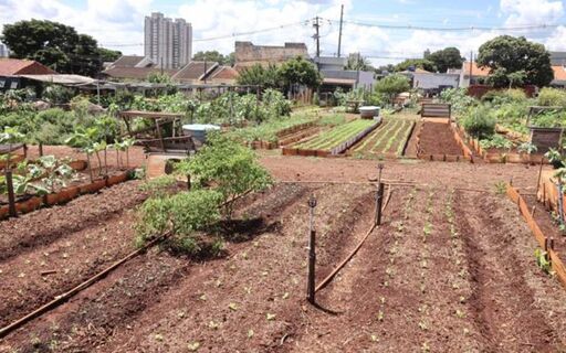 Вот почему нельзя выравнивать грядки: когда перфекционизм убийственен для урожая – опытные дачники предупреждают