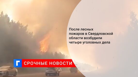 После лесных пожаров в Свердловской области возбудили четыре уголовных дела