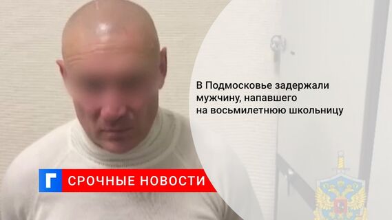 В Подмосковье задержали мужчину, напавшего на восьмилетнюю школьницу