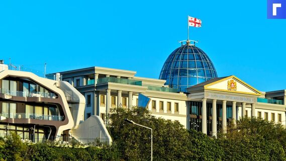 Главу партии Саакашвили в Грузии лишат иммунитета после протестной акции 