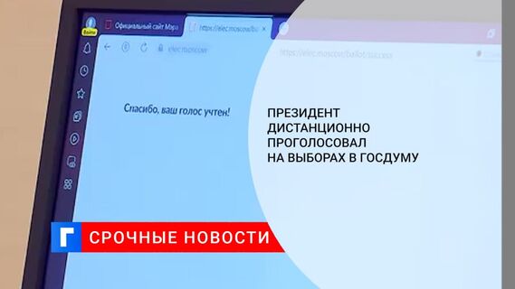 Президент России Путин проголосовал онлайн на выборах в Госдуму