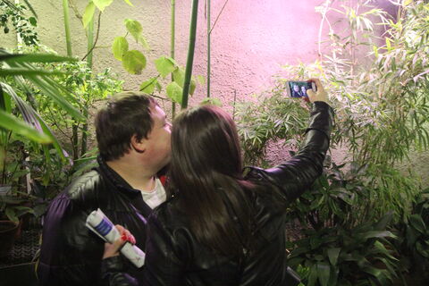 Плюс один час на прогулку и две цветущие сакуры: Ботанический сад Петербурга перешел на летний режим