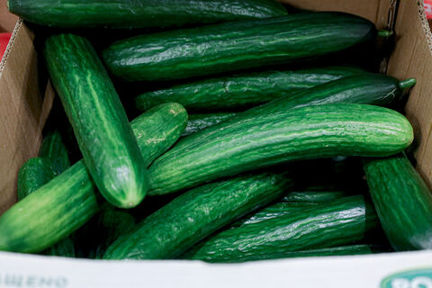 Шок-цены на огурцы: Петербург впереди Москвы
