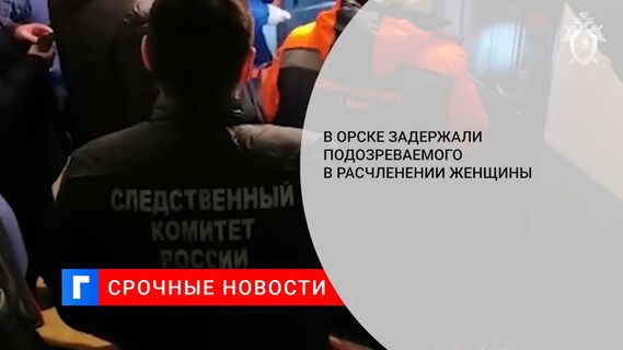 В Орске задержали подозреваемого в расчленении женщины