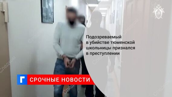 Задержанный по подозрению в убийстве девочки в Тюмени признался в преступлении
