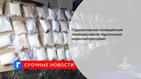 Ирина Волк: В Подмосковье полицейские ликвидировали подпольную нарколабораторию