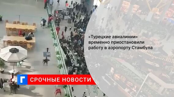 Turkish Airlines продлила приостановку рейсов в аэропорту Стамбула из-за непогоды