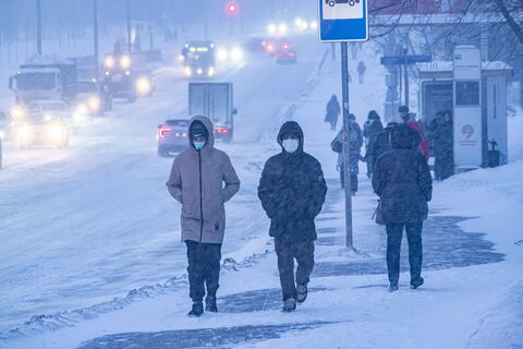 Простуды отступают: ОРВИ и COVID в Петербурге слабеют