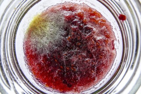 Недостаточно просто убрать плесень с варенья: привычка миллионов россиян оказалась опасной