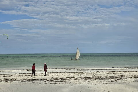 "Заменить песок за 3 месяца": Откроют ли в этом сезоне пляжи Анапы