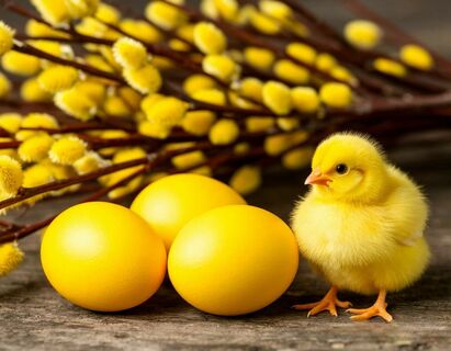 Не яйца на Пасху, а яркие солнышки: вот как добиться ярко-желтого оттенка – поможет простая специя