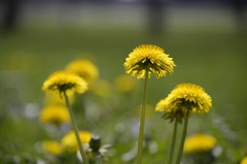 Народная примета погоды на 12 апреля – к холодному лету: день Ивана Лествичника 