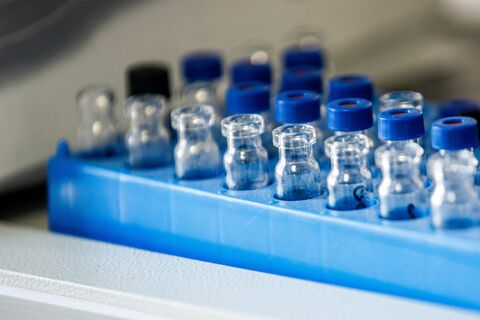 Два туриста из Таиланда привезли в Петербург оспу обезьян