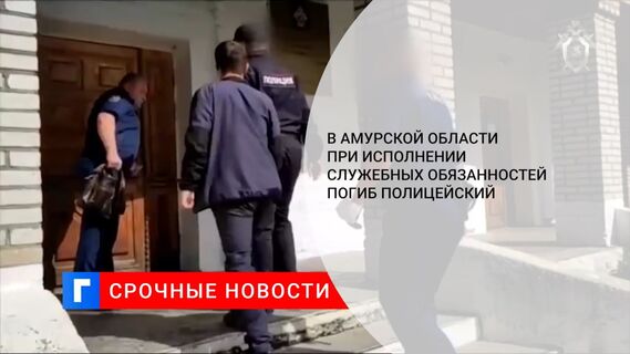 В Амурской области при исполнении служебных обязанностей погиб полицейский 