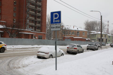 «Парковки Петербурга» не подведут: Минцифры добавило сервис в «белый список»