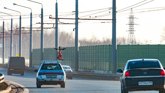 Так вот зачем на шумозащитных экранах рисуют птиц: это не украшение или реклама