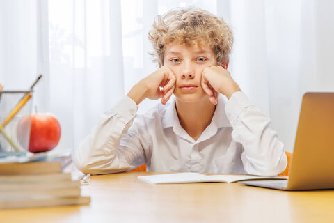 Городовой ру