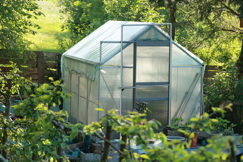 Не химия и не биопрепараты: вот 3 народных способа продезинфицировать теплицу – знает каждый опытный дачник