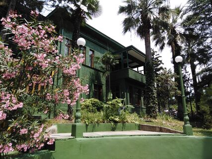 Фантастика и сумасшествие: 5 мест в Сочи, которые перевернут представление о мире - обязательны к посещению