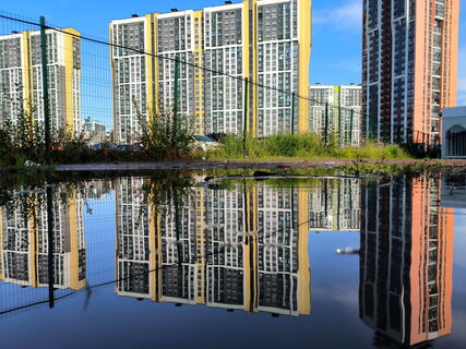 Те же 37 метров, но на миллион дороже: как петербургские однушки стали «золотыми» за год