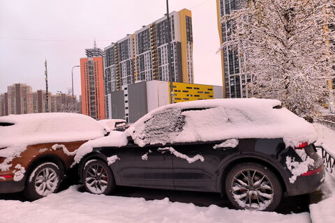 Чей двор в «чёрном списке»: ГАТИ назвала четыре очага дворовых нарушений парковки в Петербурге