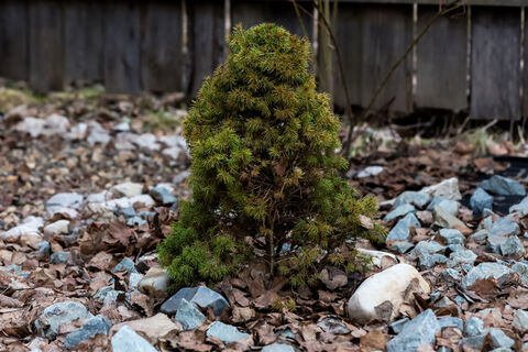 участок, земля