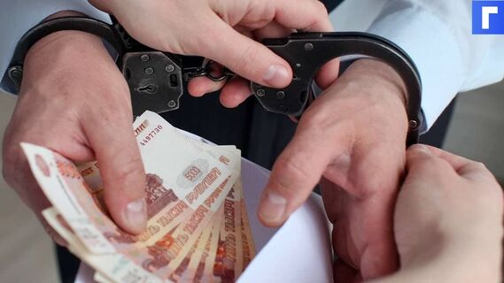 В Петербурге суд заключил под стражу главу муниципалитета Ленобласти