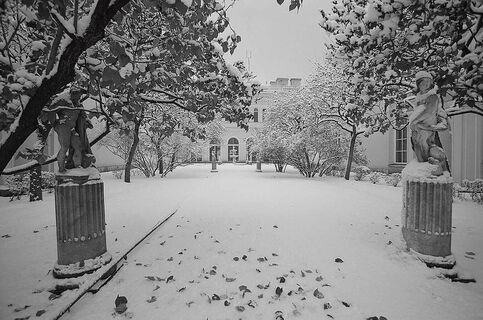 КГИОП защитил Строгановский сад от «усадки» границ