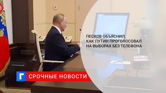 Песков объяснил, как Путин проголосовал на выборах без телефона