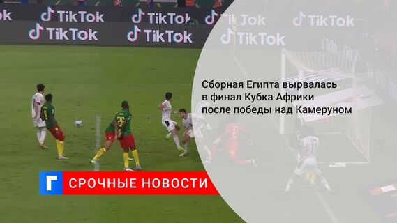 Сборная Египта вырвалась в финал Кубка Африки после победы над Камеруном