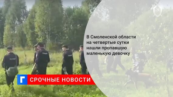 Пропавшая в Смоленской области годовалая девочка найдена живой