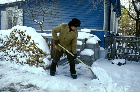 Городовой ру