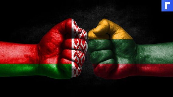 Премьер Литвы заявила, что Вильнюс начнет строительство стены на границе с Белоруссией