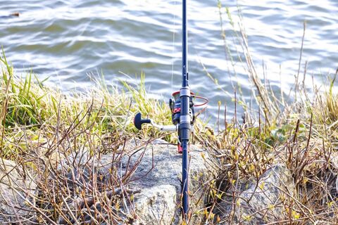 Где можно и нельзя ловить рыбу в Ленобласти весной-2026: сроки и разрешенные способы вылова