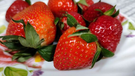 Городовой ру