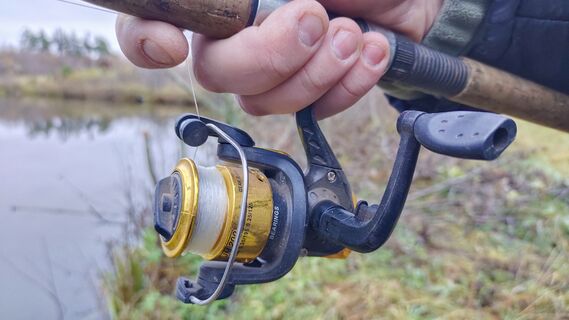 При рыбалке на карася - самое лучшее: 2 щепотки на наживку - и рыба клюет наперебой в любую погоду 