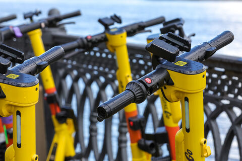 11 км веломаршрутов: Петербург получит 80 млн от аренды самокатов