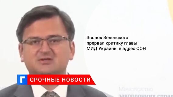 Звонок Зеленского прервал критику главы МИД Украины в адрес ООН
